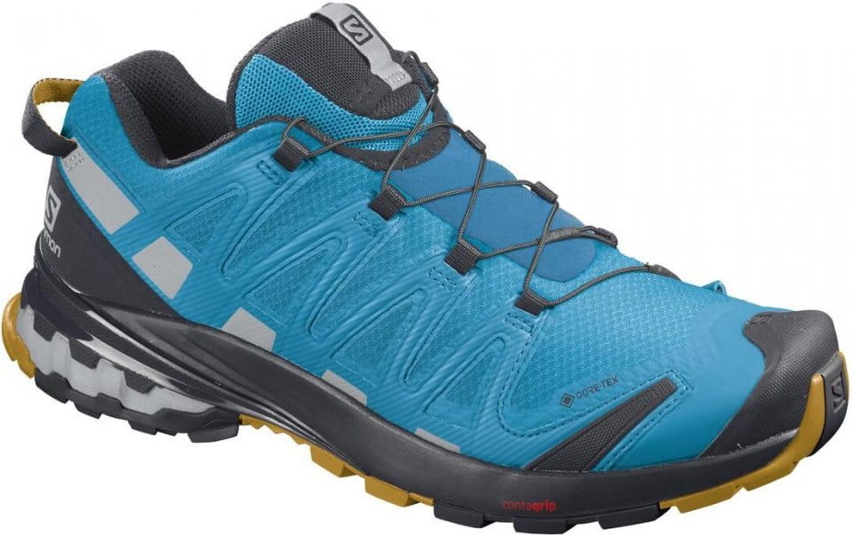 Trail-Schuhe Salomon XA PRO 3D v8 GTX
